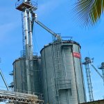 insumos plaguicidas planta